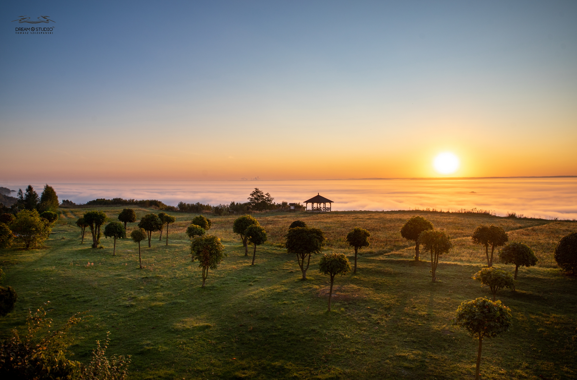  N9A2915